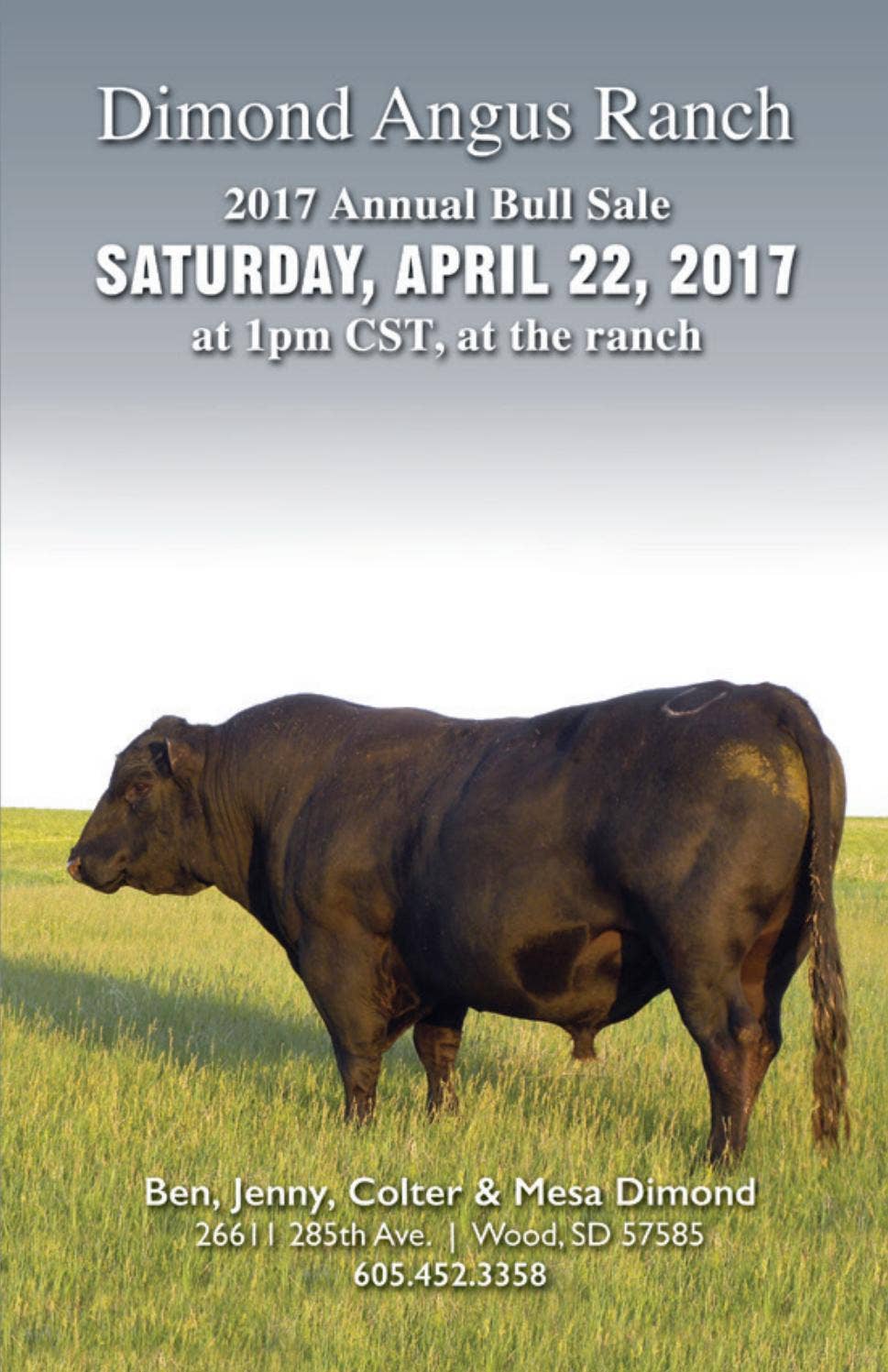 Dimond 2017 catalog by RPI Promotions Issuu