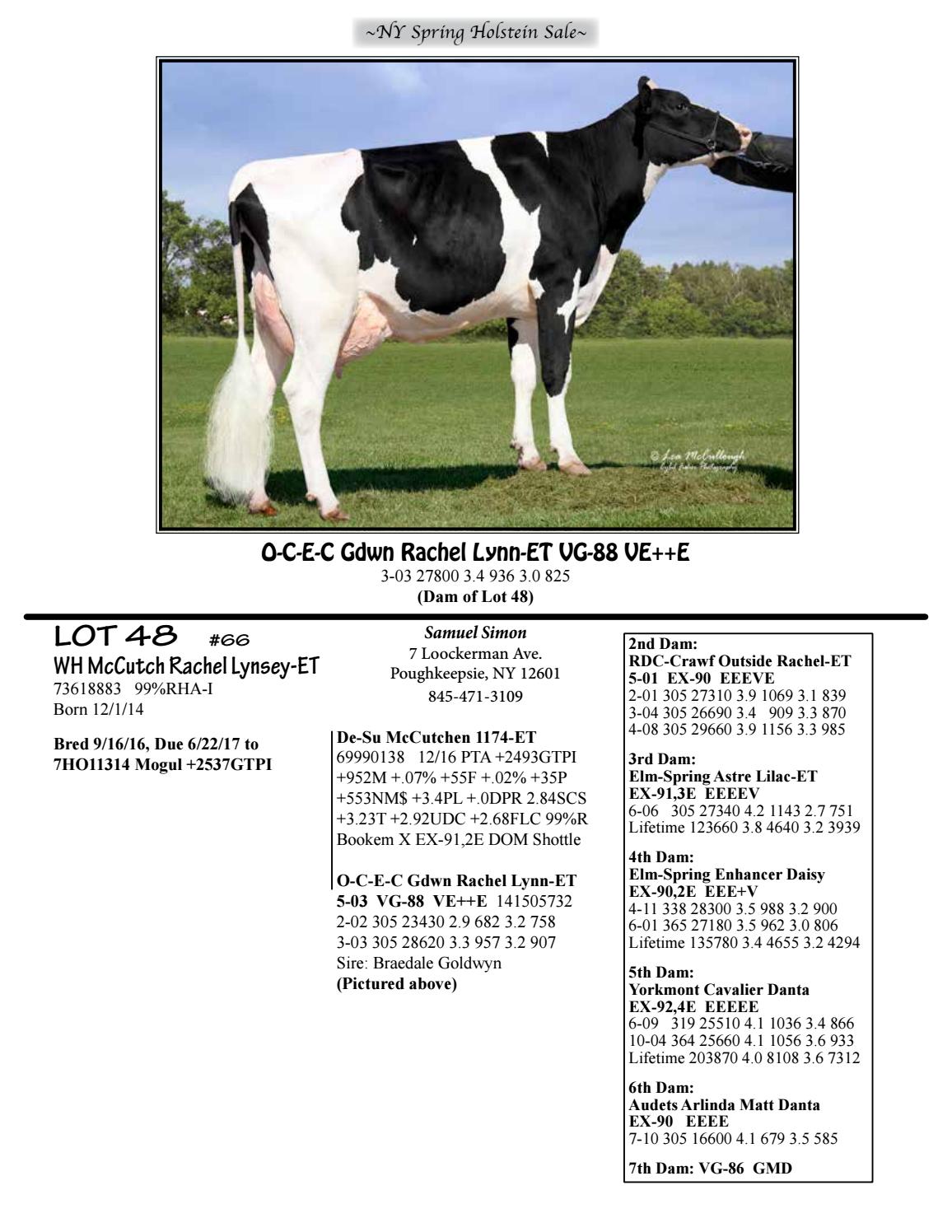 New York Spring Holstein Sale 17 By Cowsmopolitan Issuu