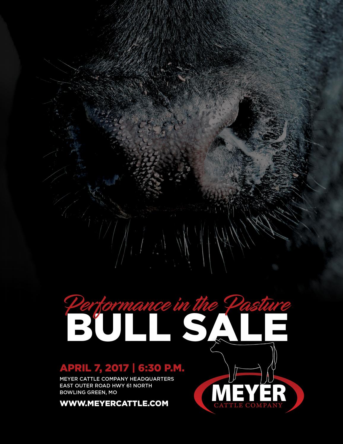 Meyer Cattle 2017 Bull Sale by Ranch House Designs Issuu