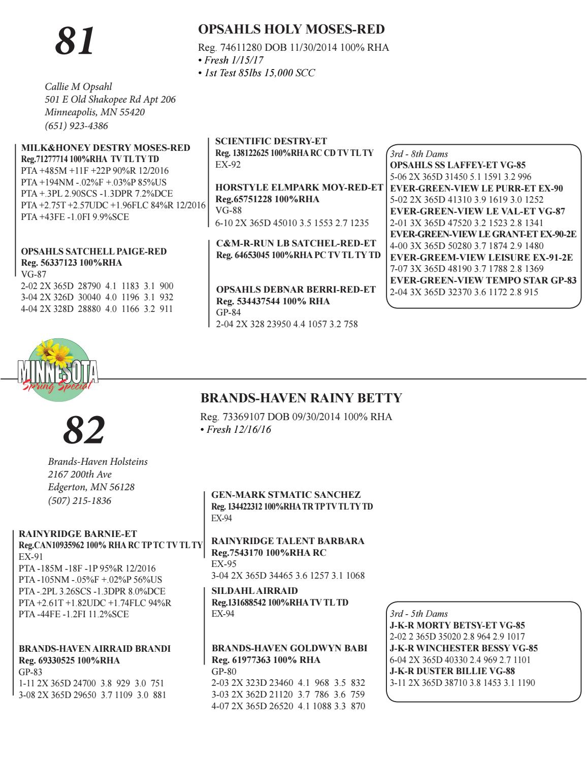 Minnesota Spring Special Holstein Sale 17 By Cowsmopolitan Issuu