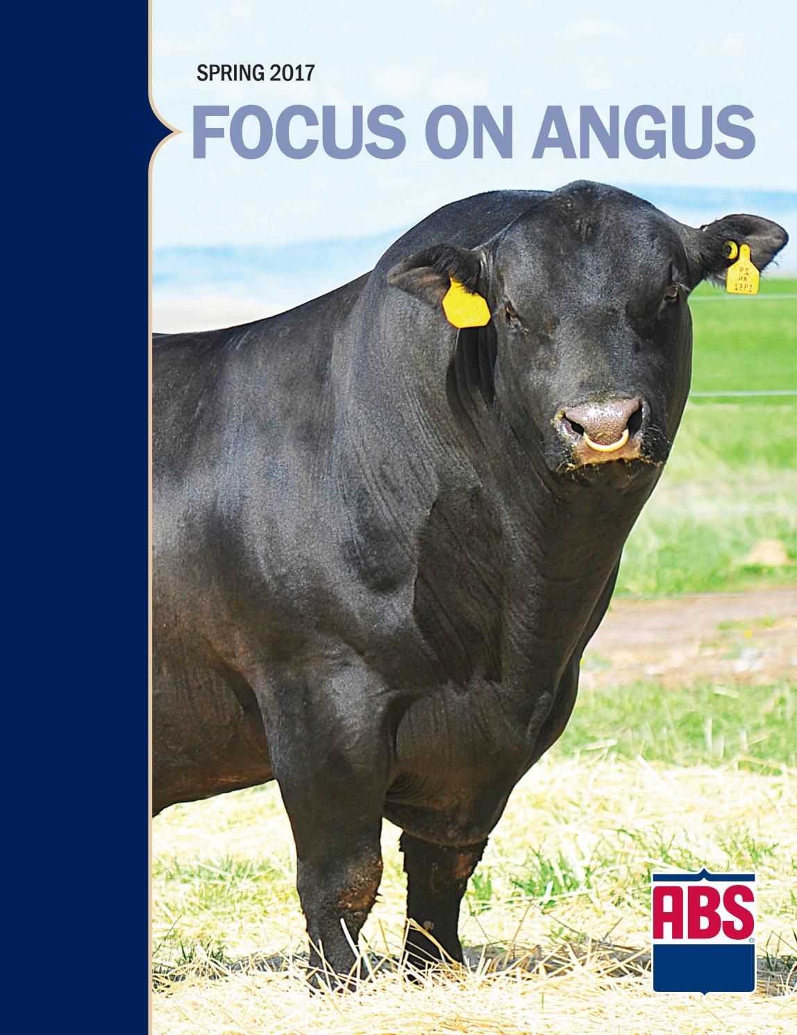 ABS Spring 2017 Focus On Angus by ABS Global, Inc. Issuu
