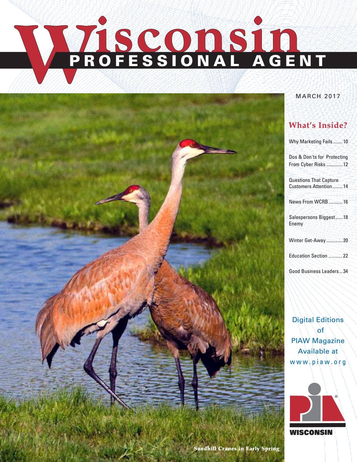 March 2017 Wisconsin Professional Agent by Professional Insurance ...