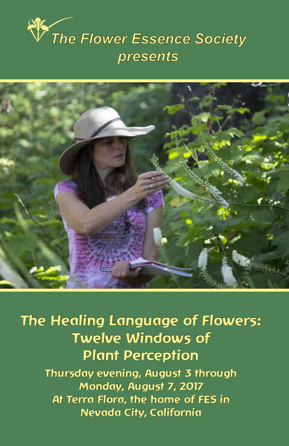 The Healing Language of Flowers Twelve Windows of Plant Perception by