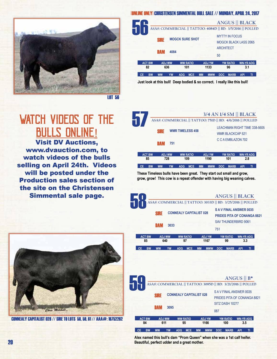Christensen Simmental 46th Annual Production [ONLINE ONLY] Sale by Cam ...
