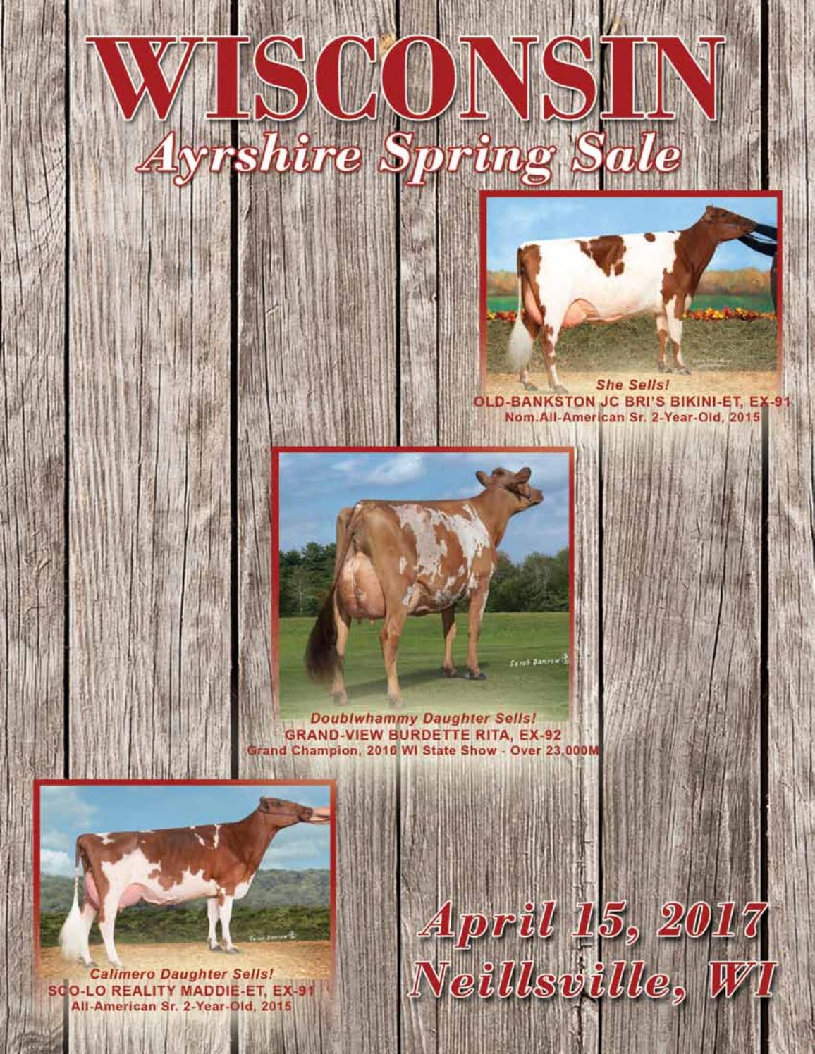 Wisconsin Ayrshire Spring Sale 2017 by Dairy Agenda Today Issuu