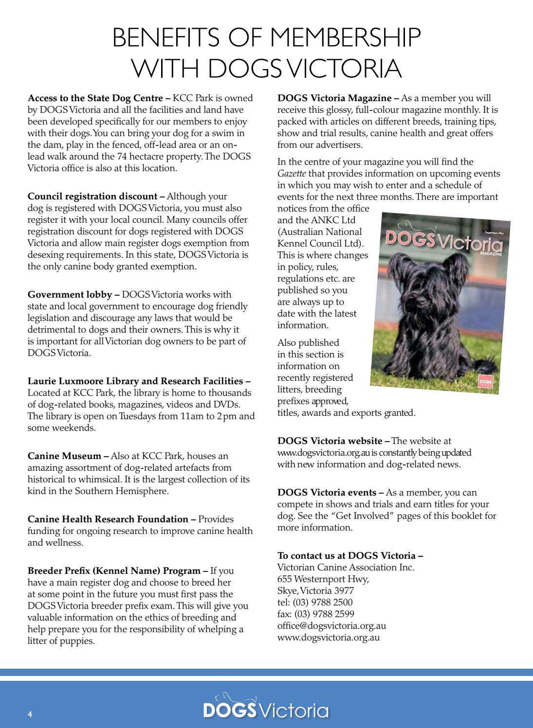 victorian dog registration