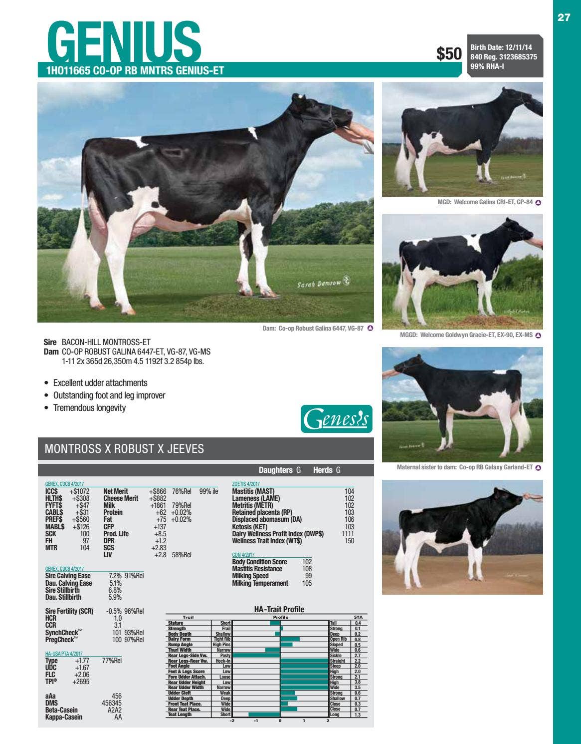 速くおよび自由な by Sires Holstein GENEX GENEX Issuu - ロッド