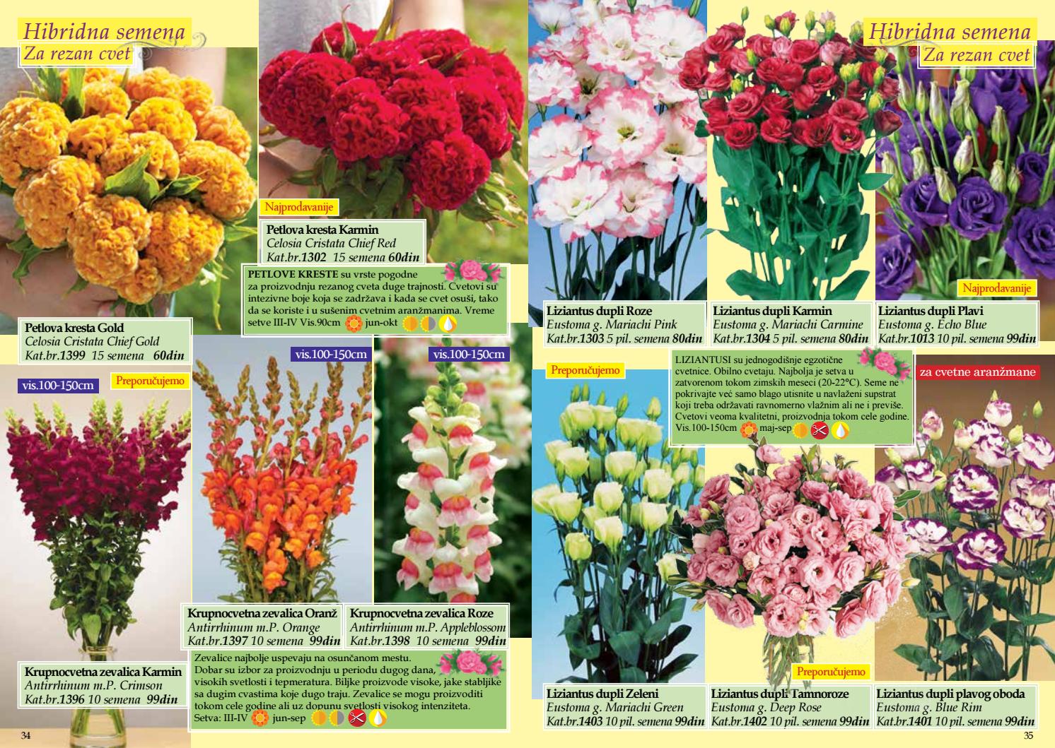 Flora ekspres katalog cveće proleće 2017 by Catalog.rs Issuu