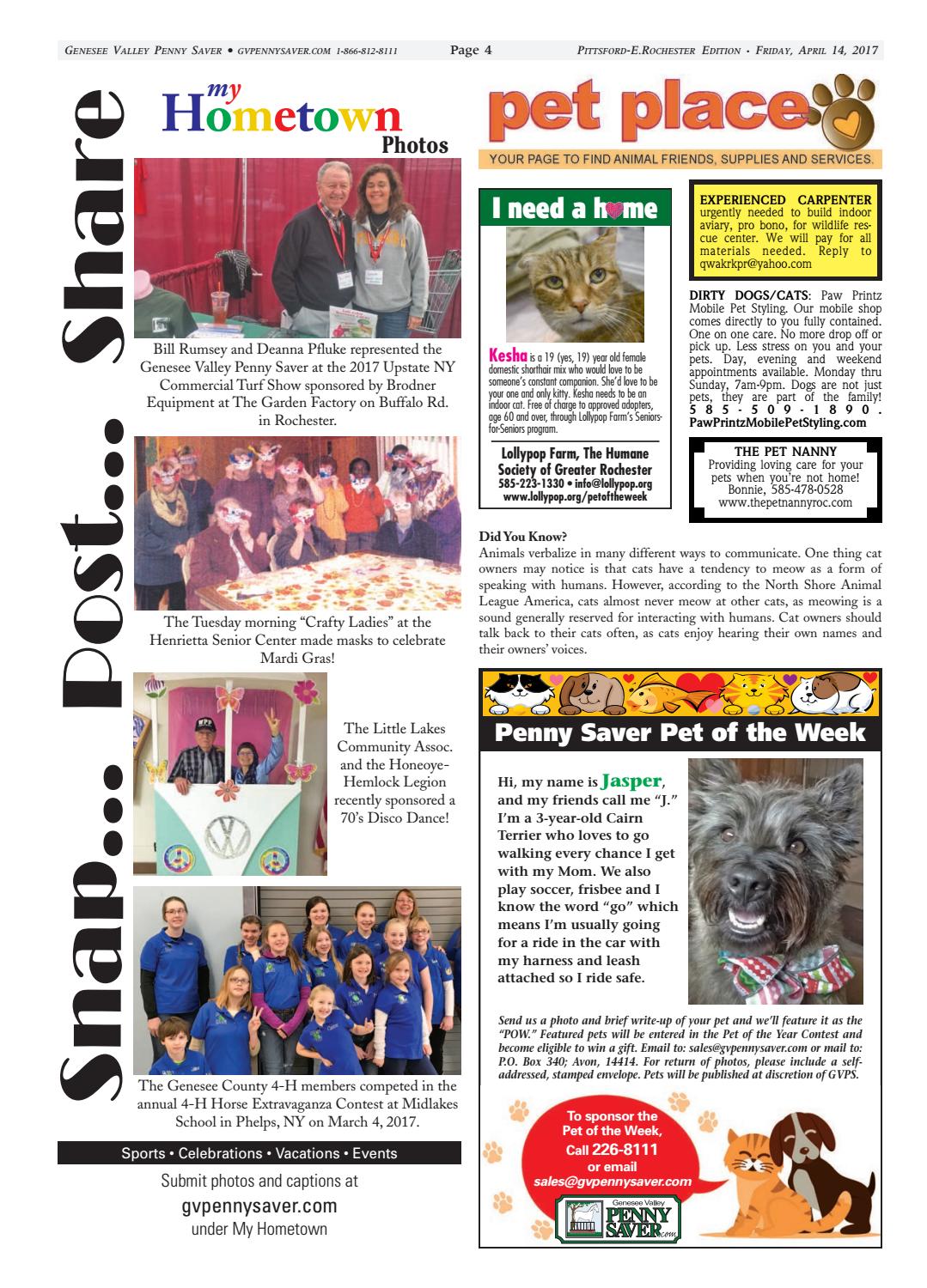 paw printz mobile pet styling