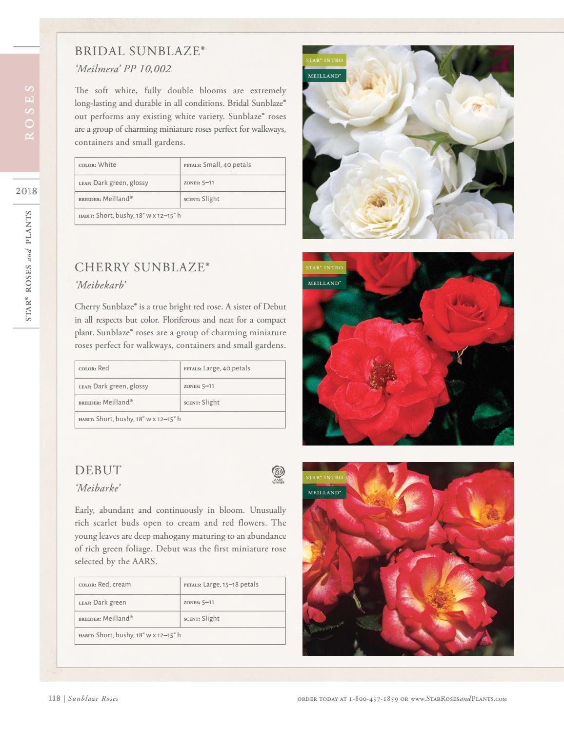 2018 Star® Roses and Plants Catalog by Star® Roses and Plants Issuu