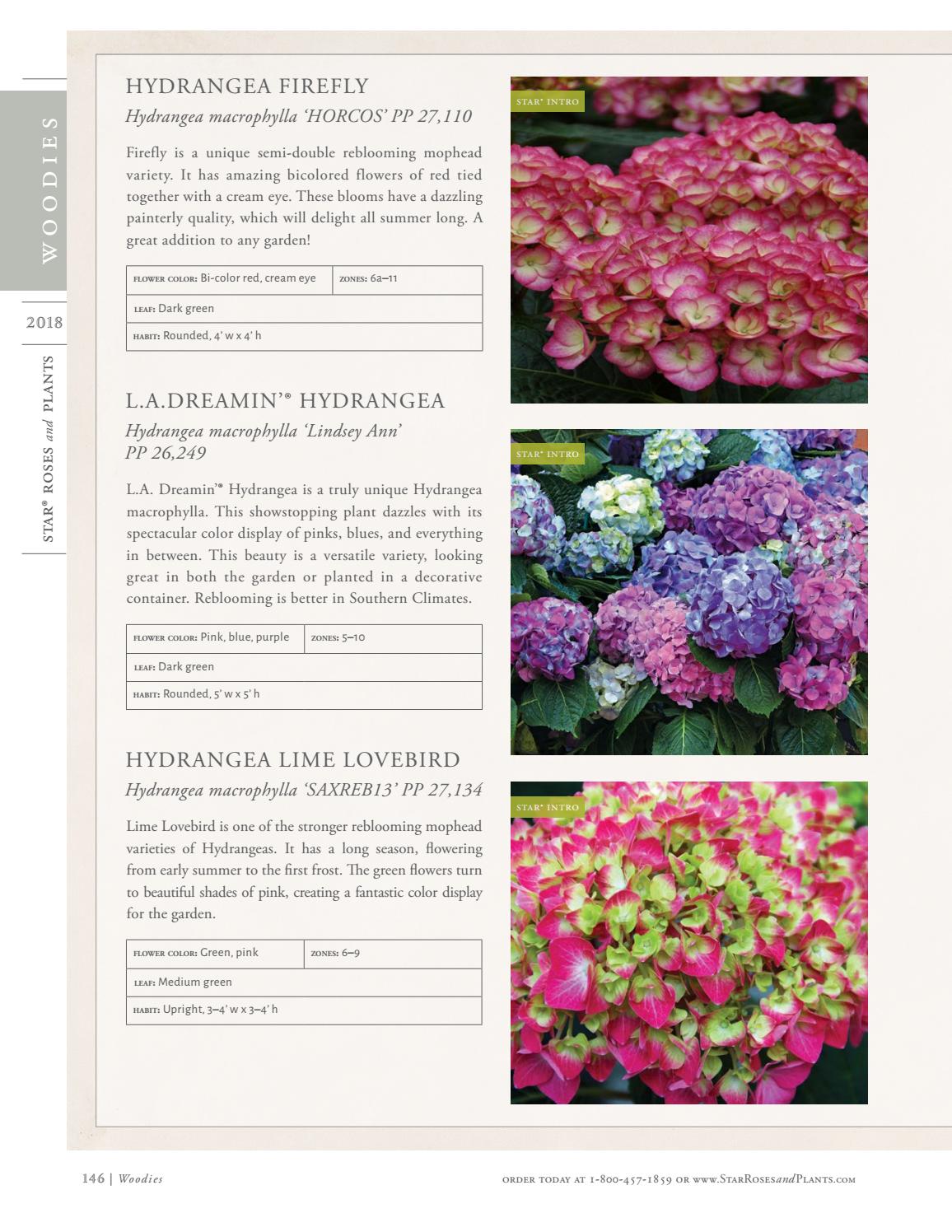 2018 Star® Roses and Plants Catalog by Star® Roses and Plants Issuu