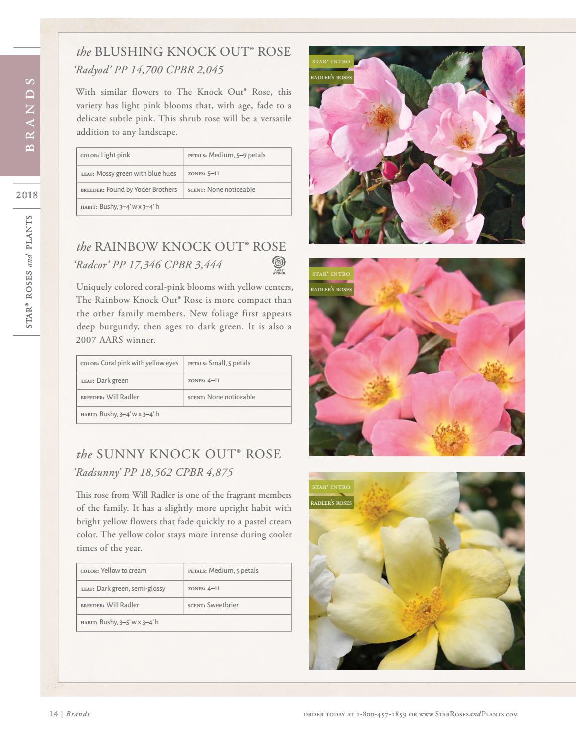 2018 Star® Roses and Plants Catalog by Star® Roses and Plants Issuu