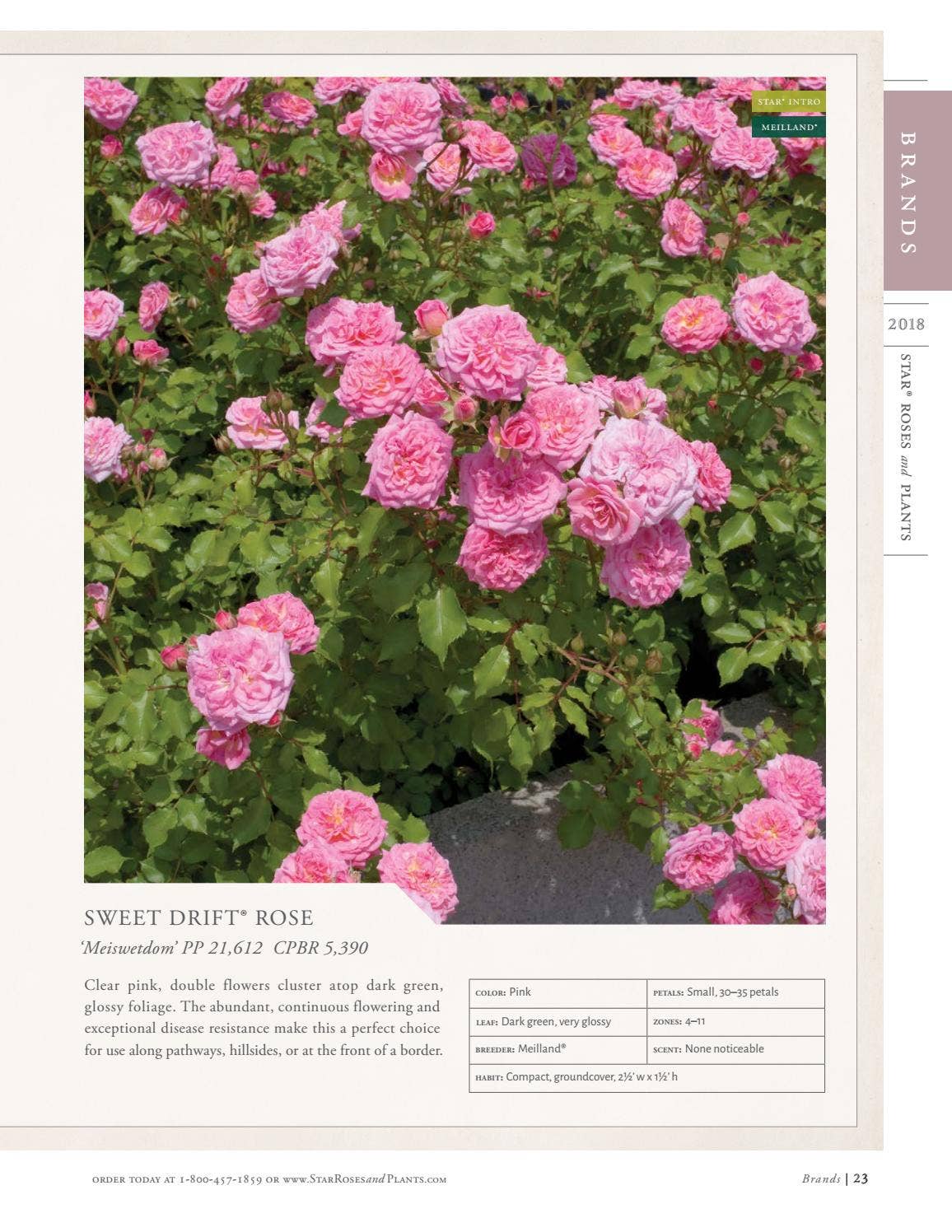 2018 Star® Roses and Plants Catalog by Star® Roses and Plants - Issuu