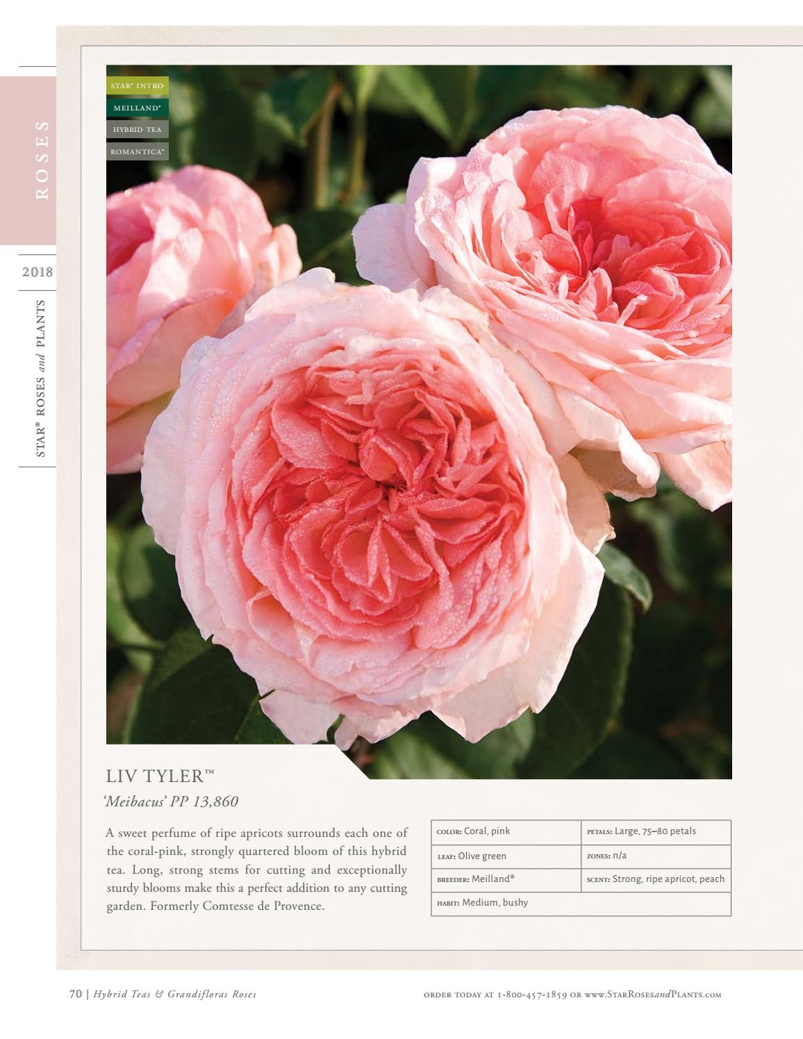 2018 Star® Roses and Plants Catalog by Star® Roses and Plants Issuu