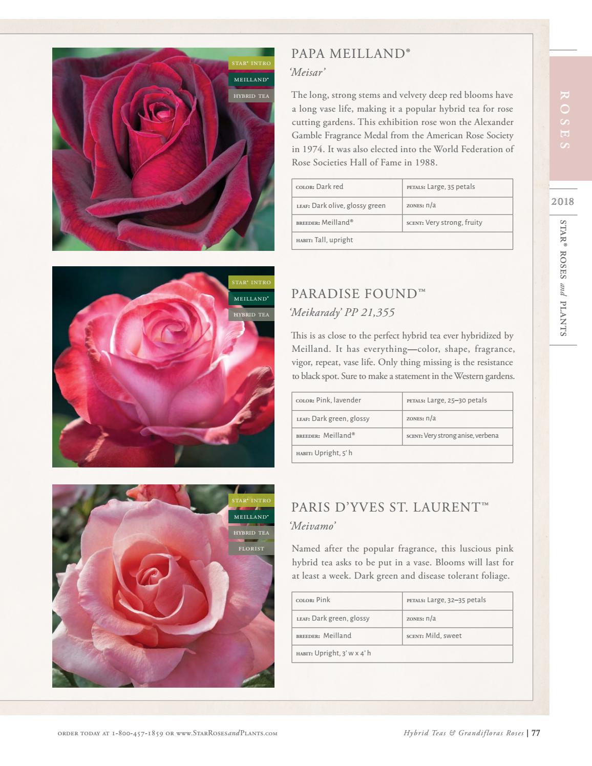 2018 Star® Roses and Plants Catalog by Star® Roses and Plants Issuu