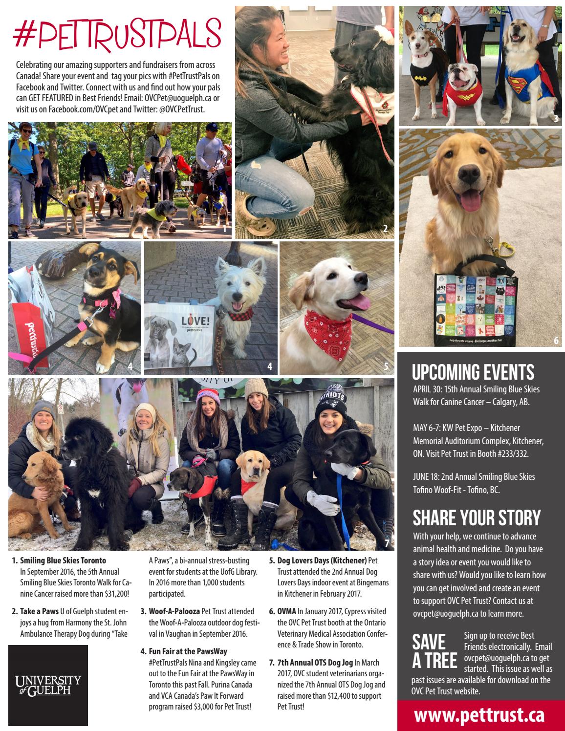 Best Friends, Pet Magazine, Ontario Veterinary College, Spring 2017 by