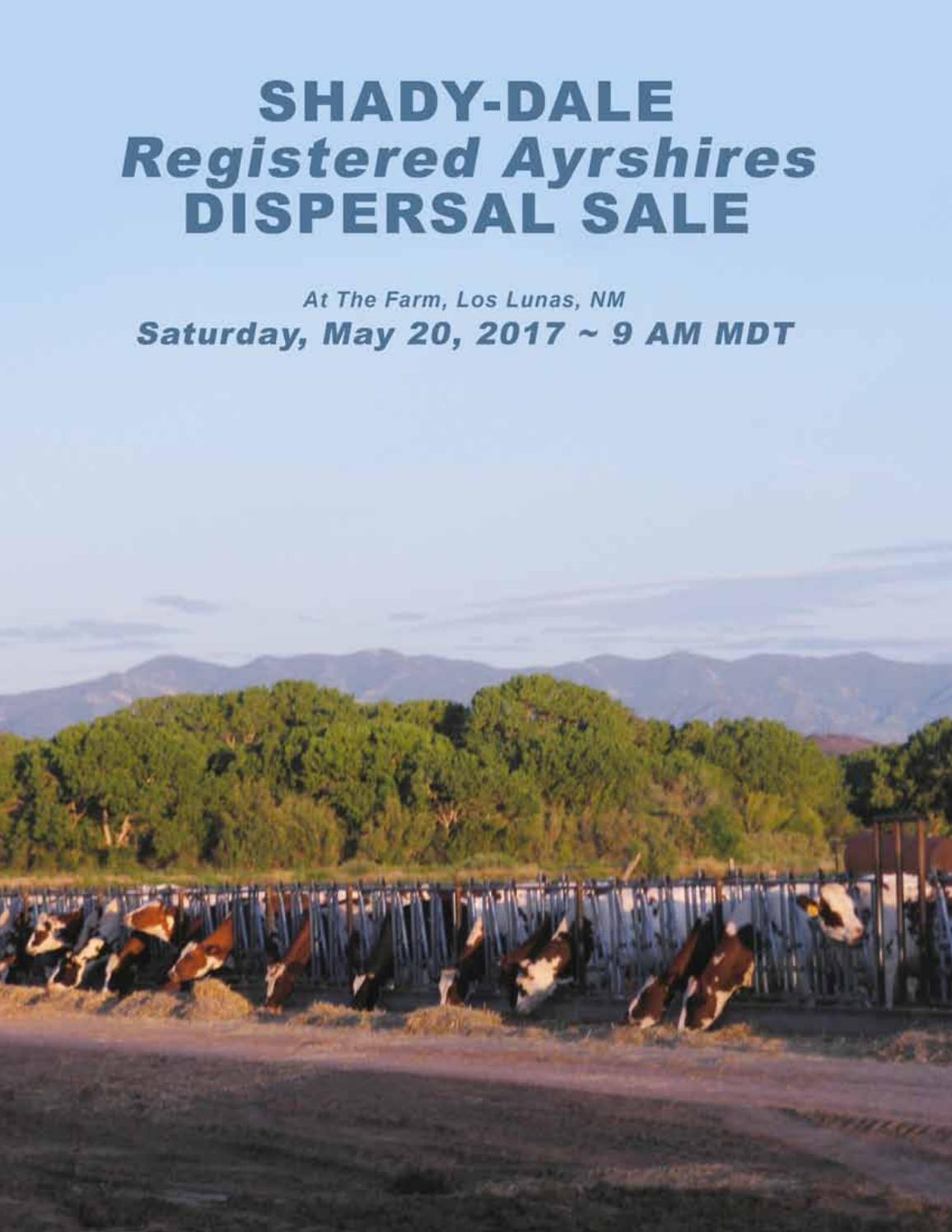 ShadyDale Ayrshires Dispersal 2017 by Dairy Agenda Today Issuu