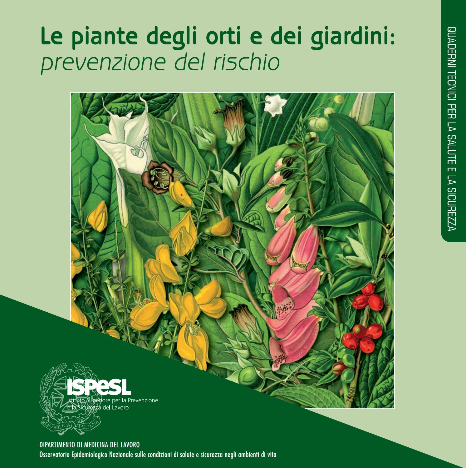 benefici del caffè verde ed effetti collaterali in lingua hindi