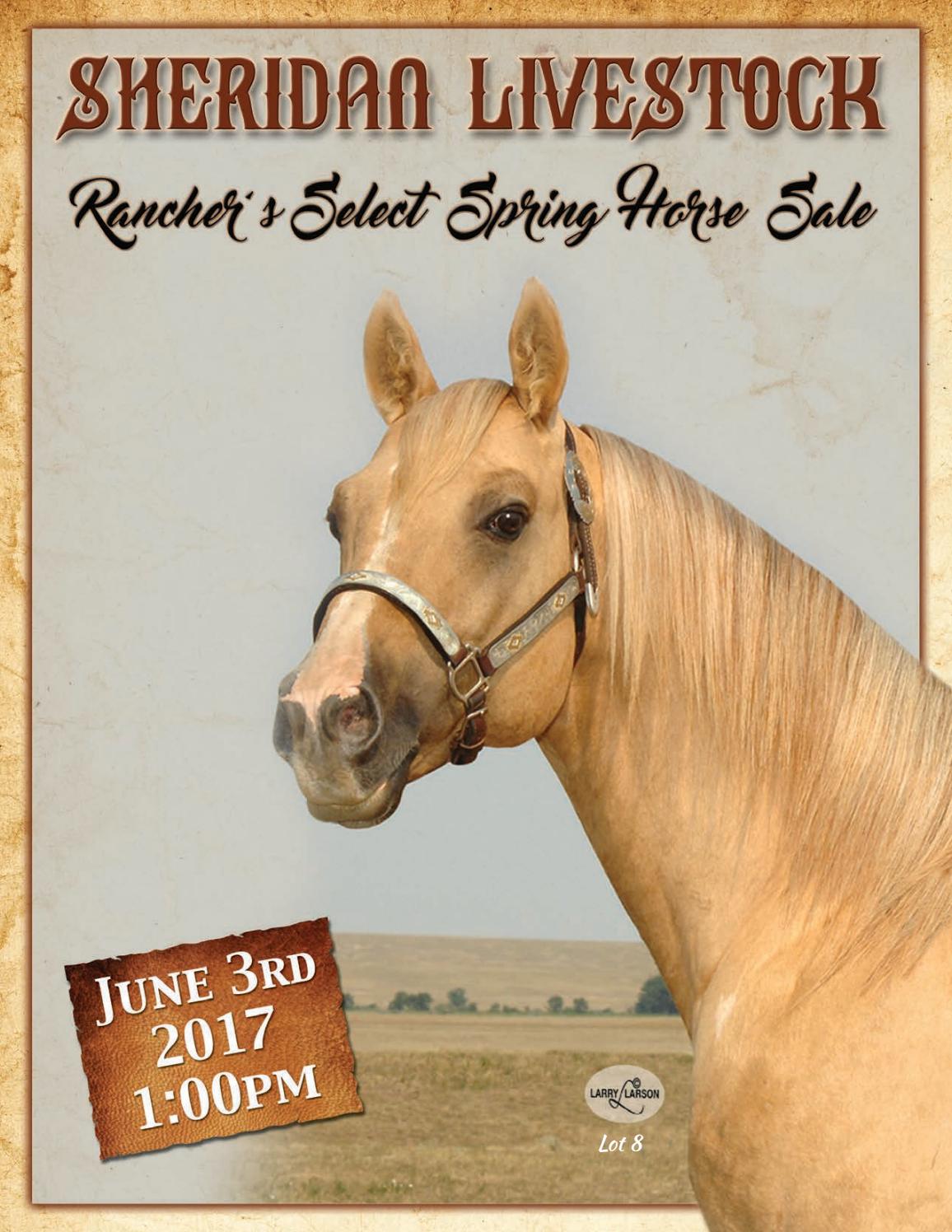 Sheridan Livestock 2017 Rancher's Select Spring Horse Sale by