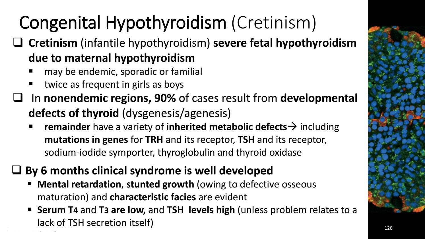 Endocrine System Pathology_ Ppt Lecture Series (5 in 1) by Marc Imhotep ...