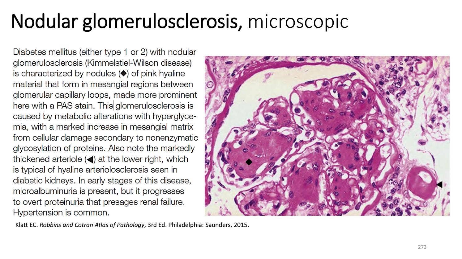 Endocrine System Pathology_ Ppt Lecture Series (5 in 1) by Marc Imhotep ...