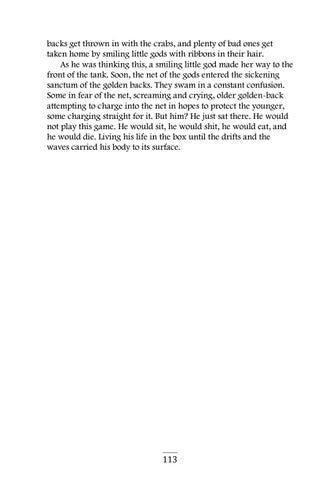 Page 113