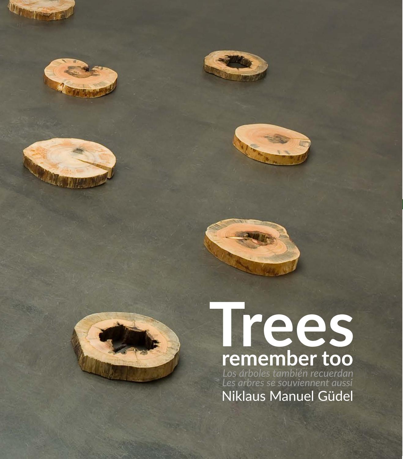 Trees remember too Los árboles también recuerdan by Museo de Arte y