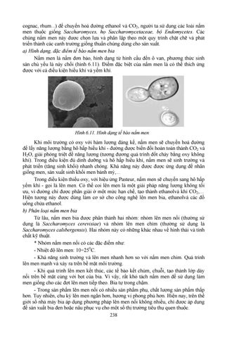 Page 238