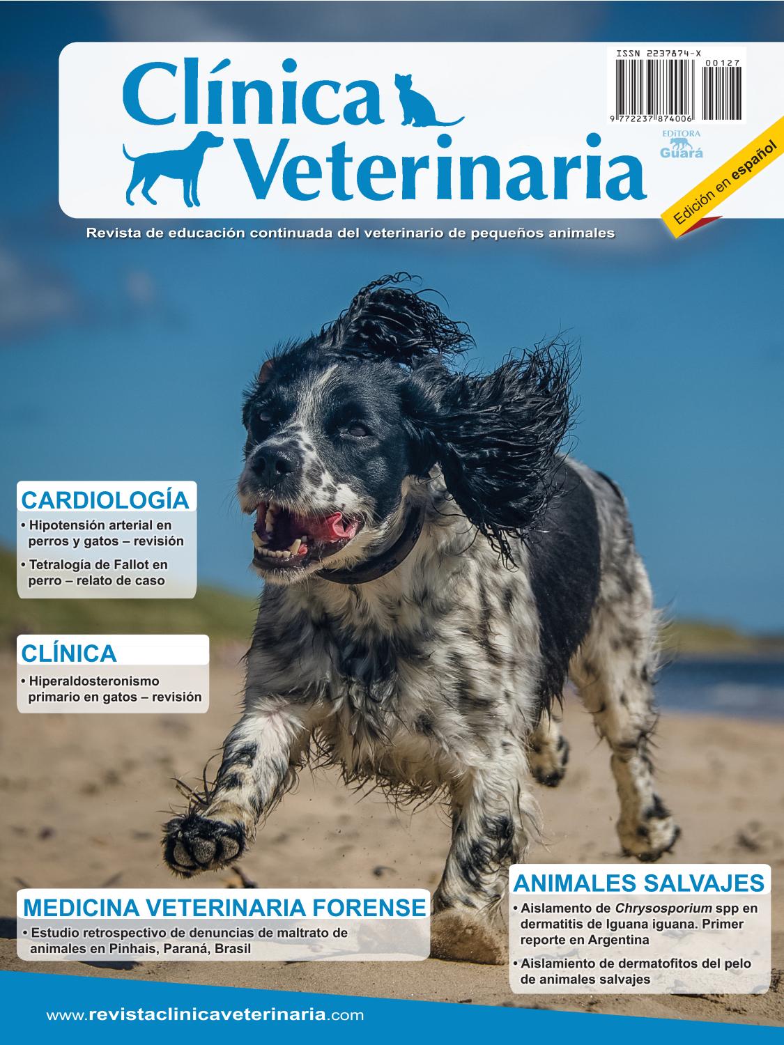 letras de infección de próstata de perro