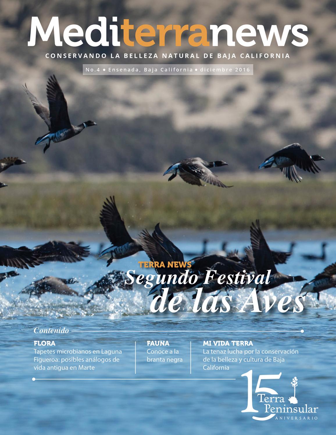 Número 4 Revista Mediterranews de Terra Peninsular by Terra