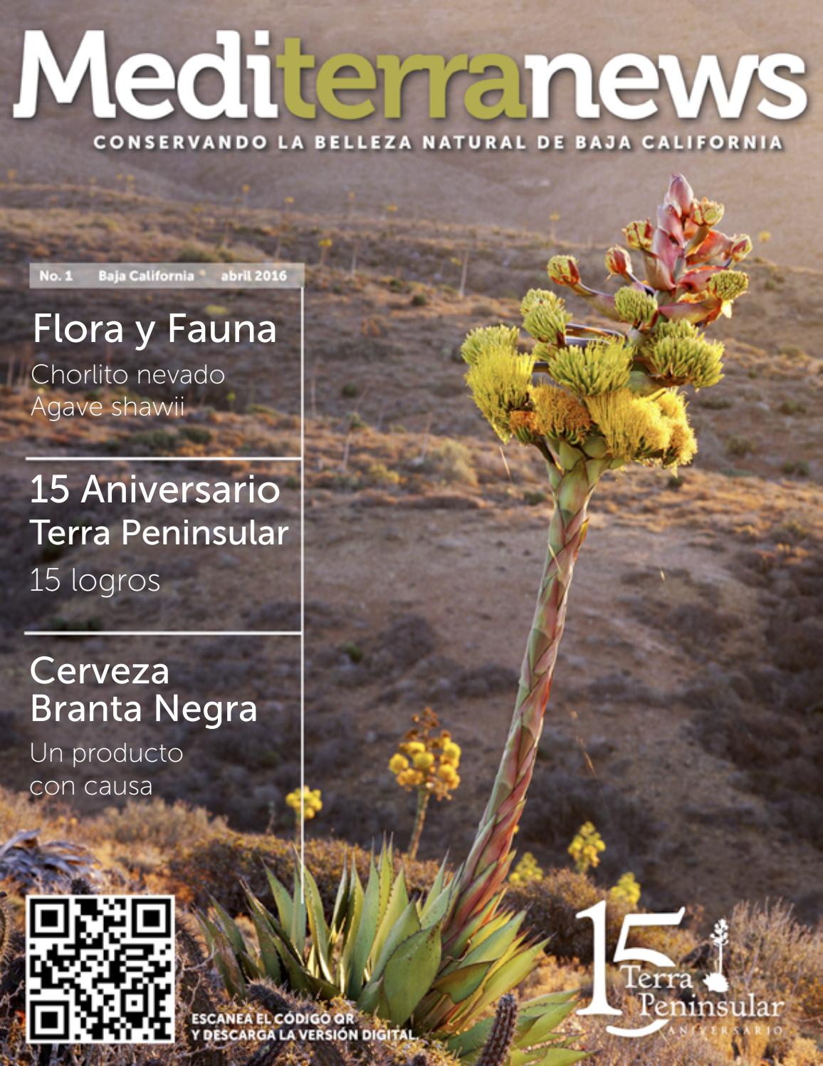 Número 1 Revista Mediterranews de Terra Peninsular by Terra