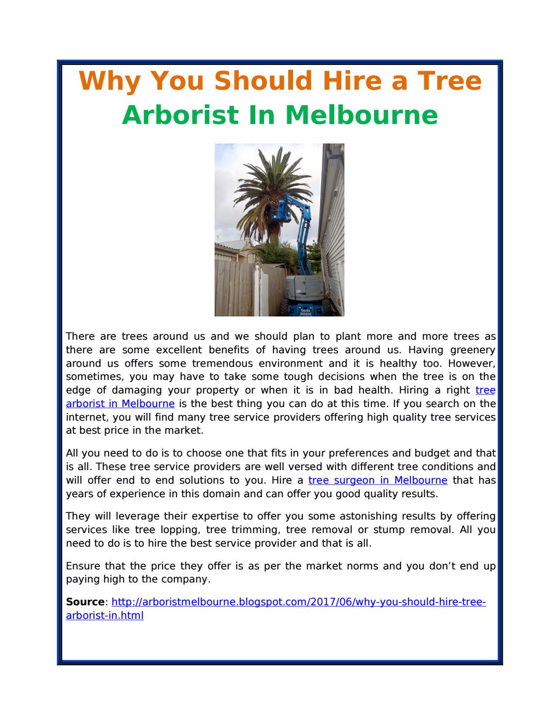 Why You Should Hire a Tree Arborist In Melbourne by Eucalyptus Tree Services Issuu