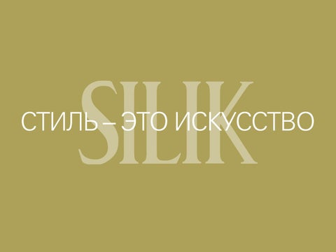 Silik comprofilerus 第 2 页