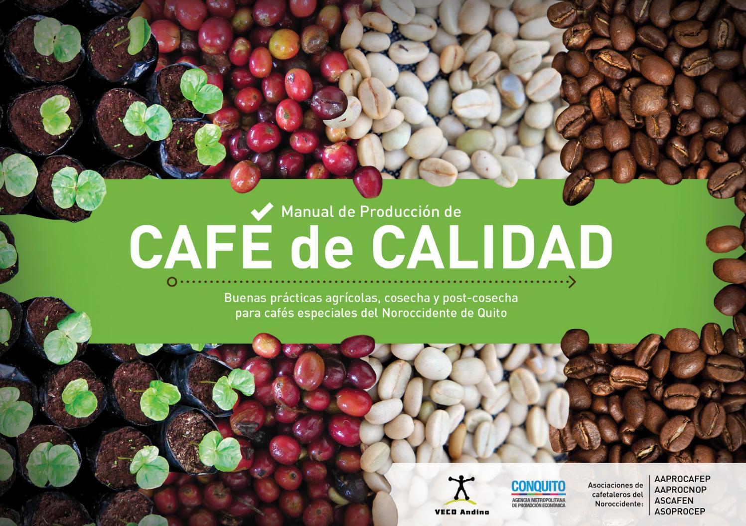 Para que sirve el cafe amargo con vinagre