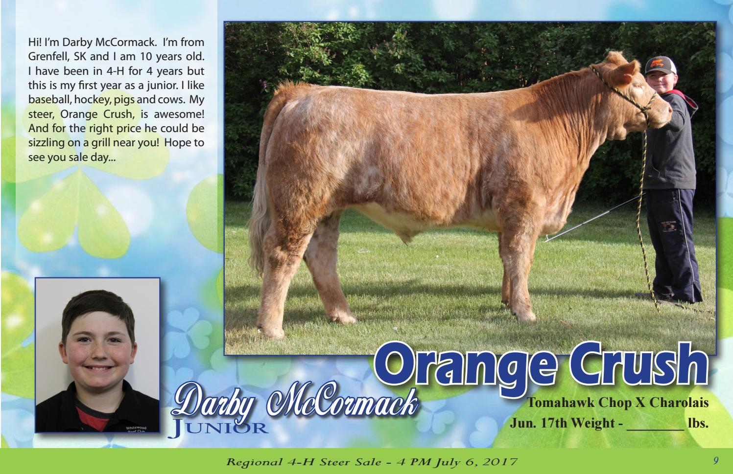 2017 whitewood 4 h steer catalog by Carolyn McCormack Issuu
