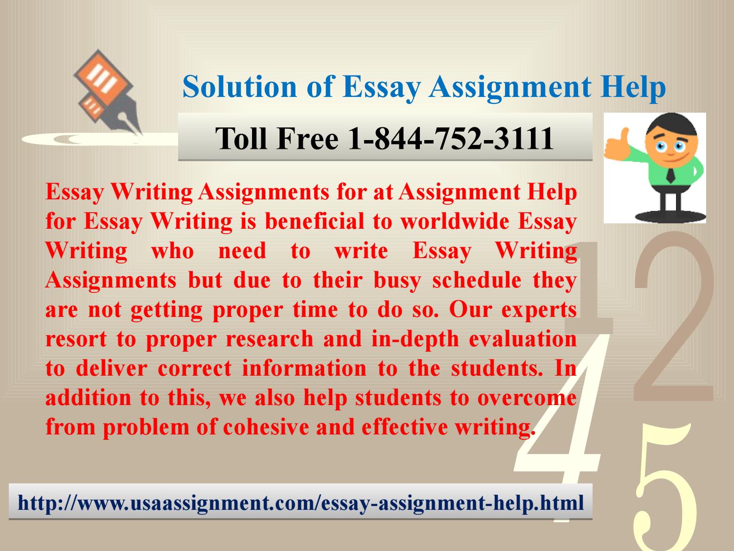 essay assignment help