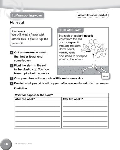 Preview Cambridge Primary Science Skills Builder 3 by Cambridge  International Education - Issuu
