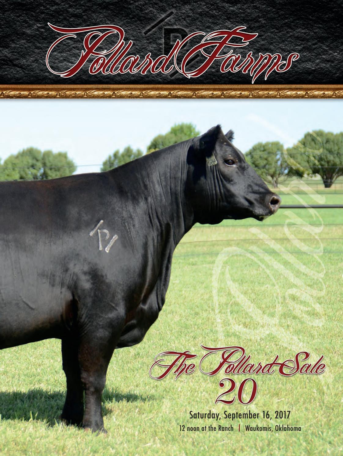 2017 Pollard Farms Female Sale by Tracy McMurphy Issuu