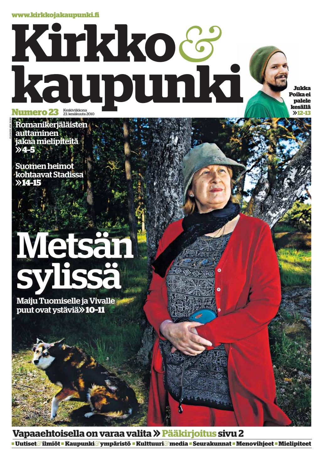 pitkä kova homo hanat