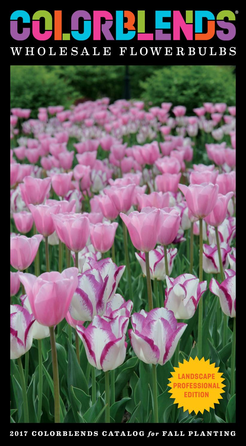 Colorblends Wholesale Flowerbulbs 2017 Landscape Professional Edition