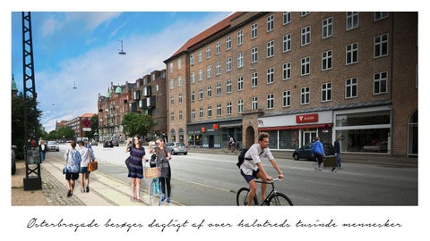 Drivhuset Præsentation 第 6 页
