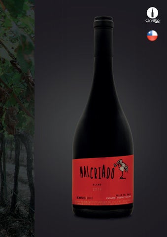 灯饰目录 carvalho Vino 第 17 页