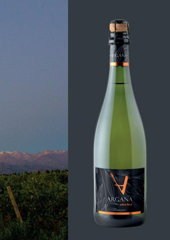 灯饰目录 carvalho Vino 第 5 页