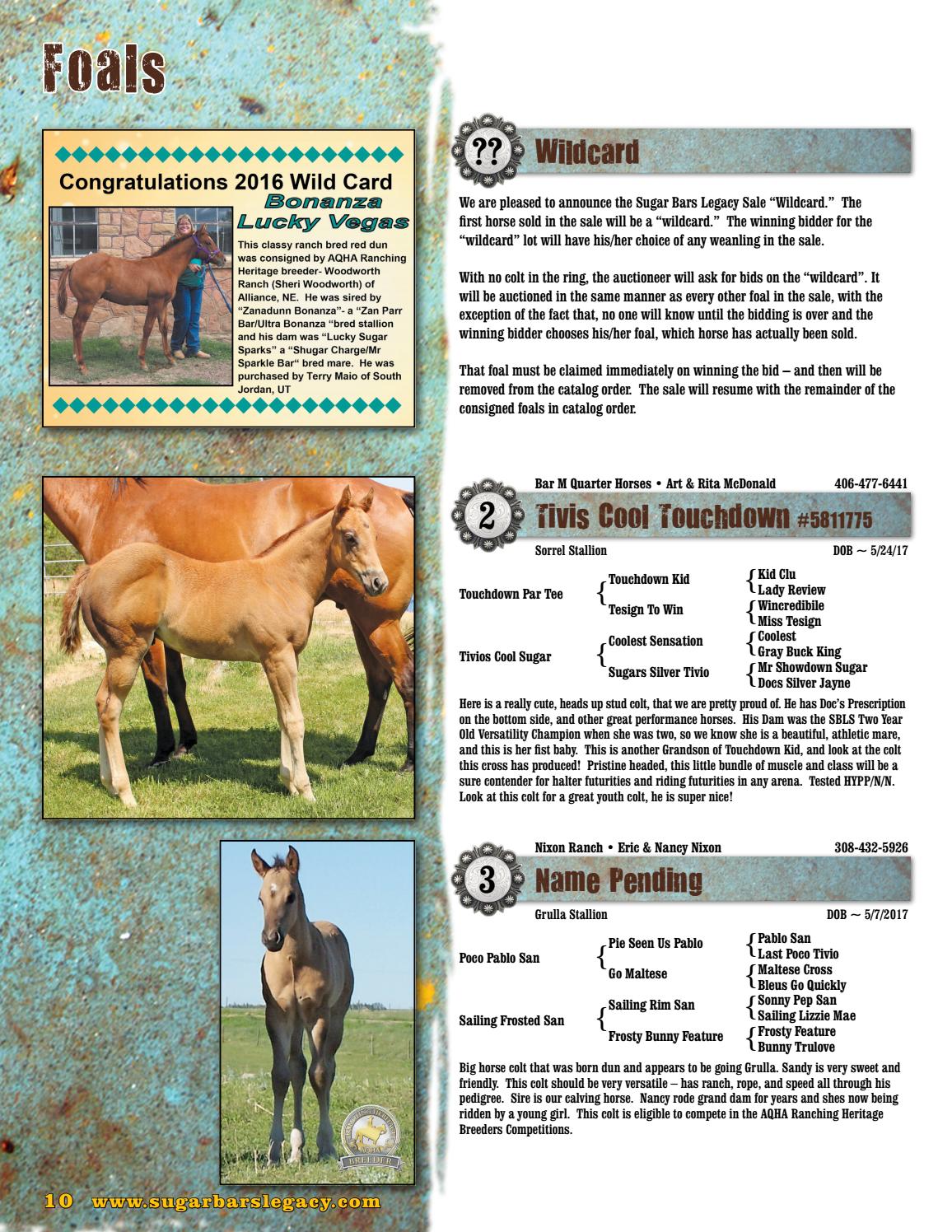 2017 Sugar Bars Legacy Horse Sale Catalog by Moxie Marketing of the Midwest Issuu