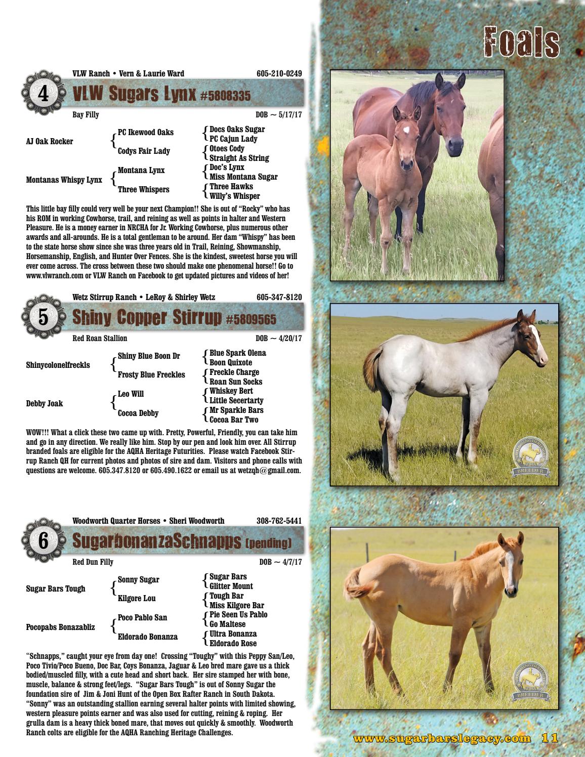 2017 Sugar Bars Legacy Horse Sale Catalog by Moxie Marketing of the Midwest Issuu