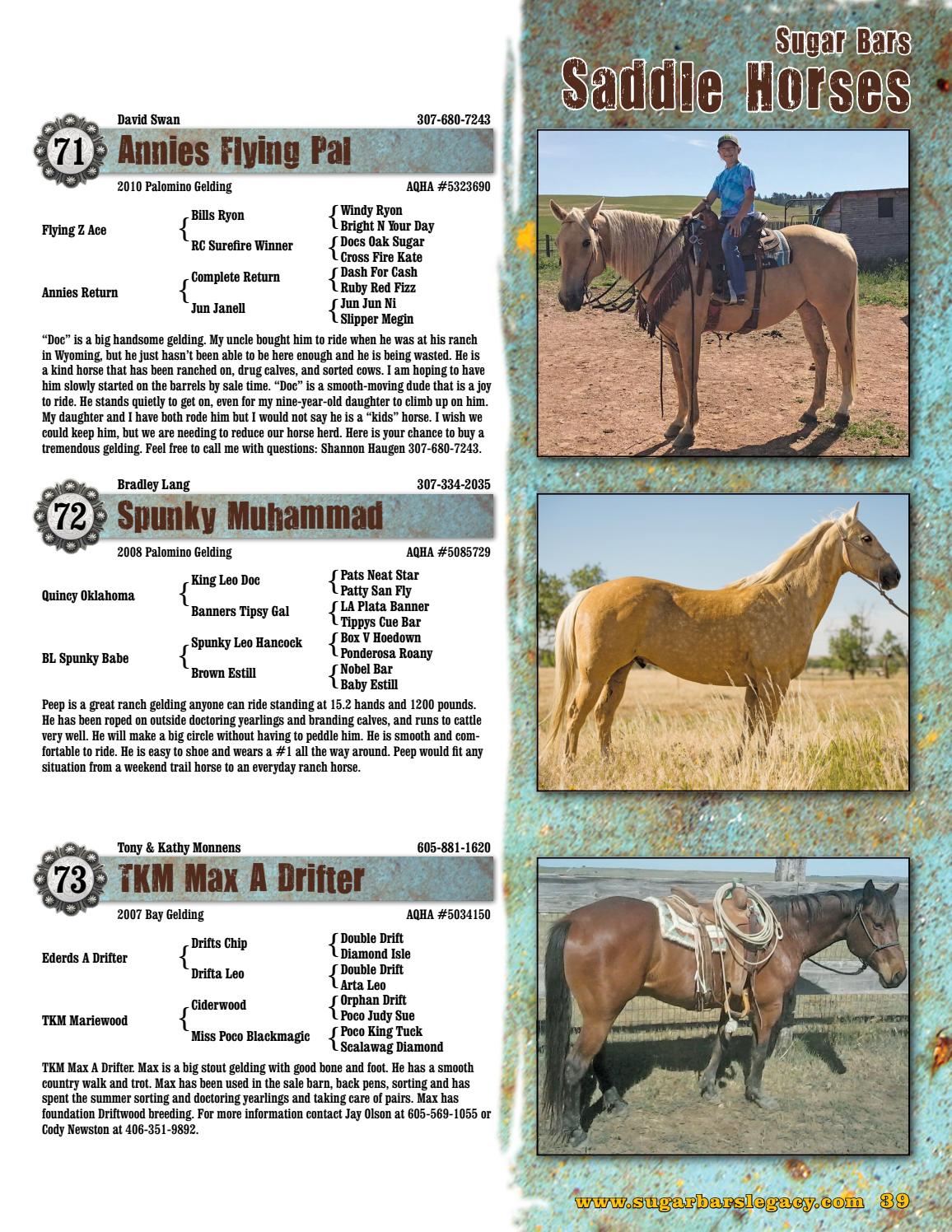 2017 Sugar Bars Legacy Horse Sale Catalog by Moxie Marketing of the Midwest Issuu
