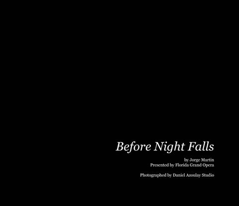 Before Night Falls Final 第 3 页