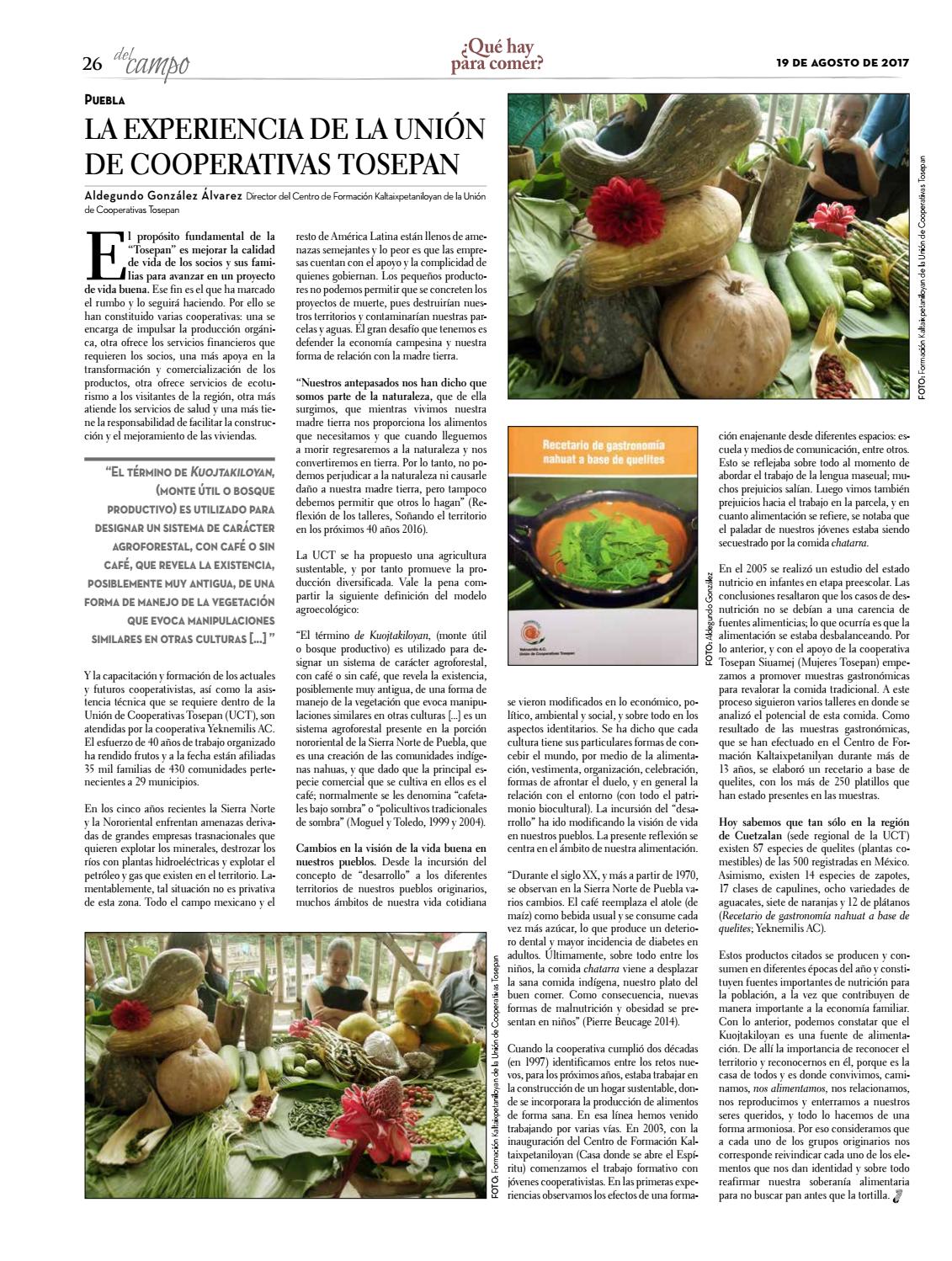 NO. 119 ¿Qué hay para comer? by La Jornada del Campo - Issuu