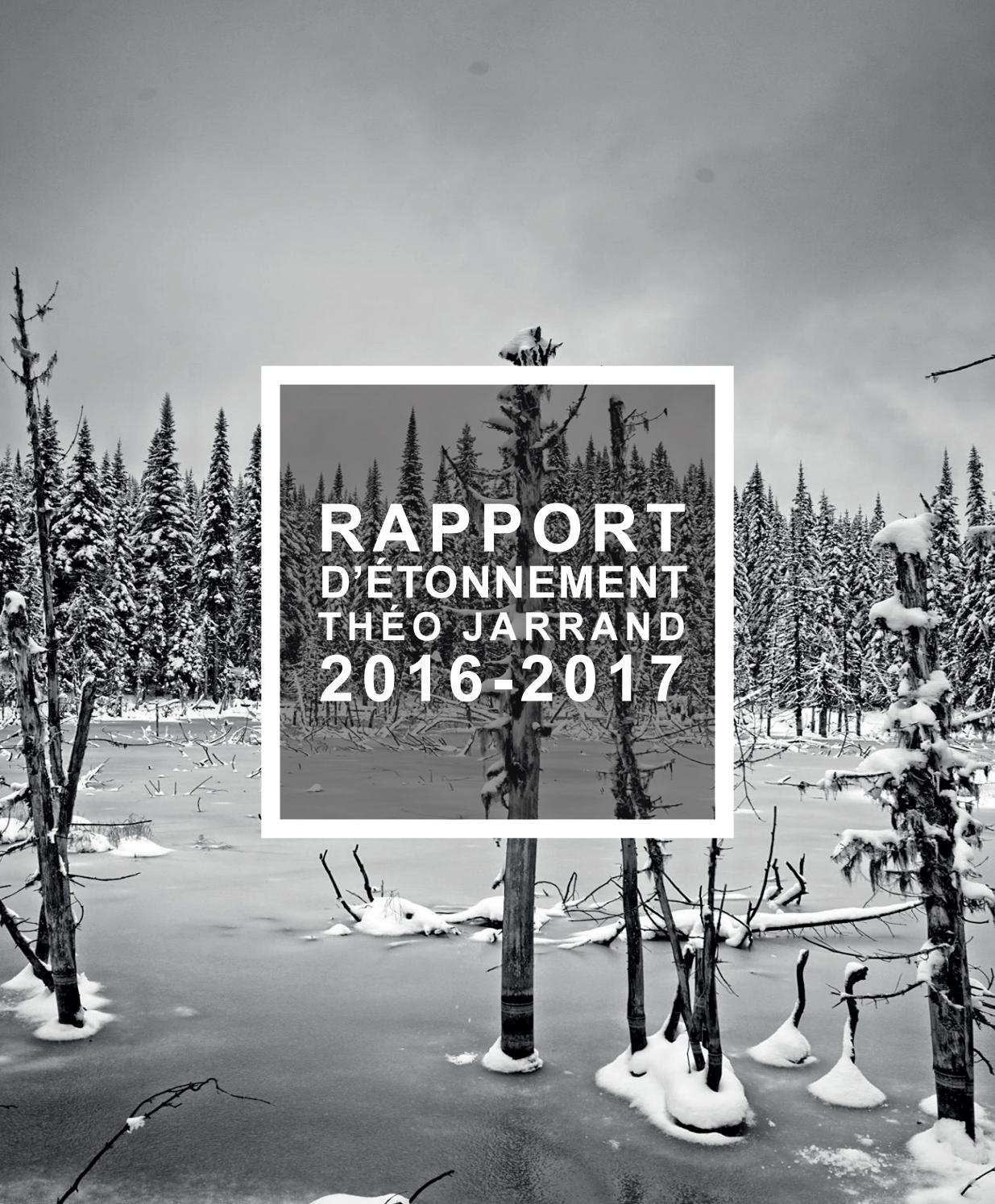 Rapport D Etonnement 16 17 By Theo Jarrand Issuu