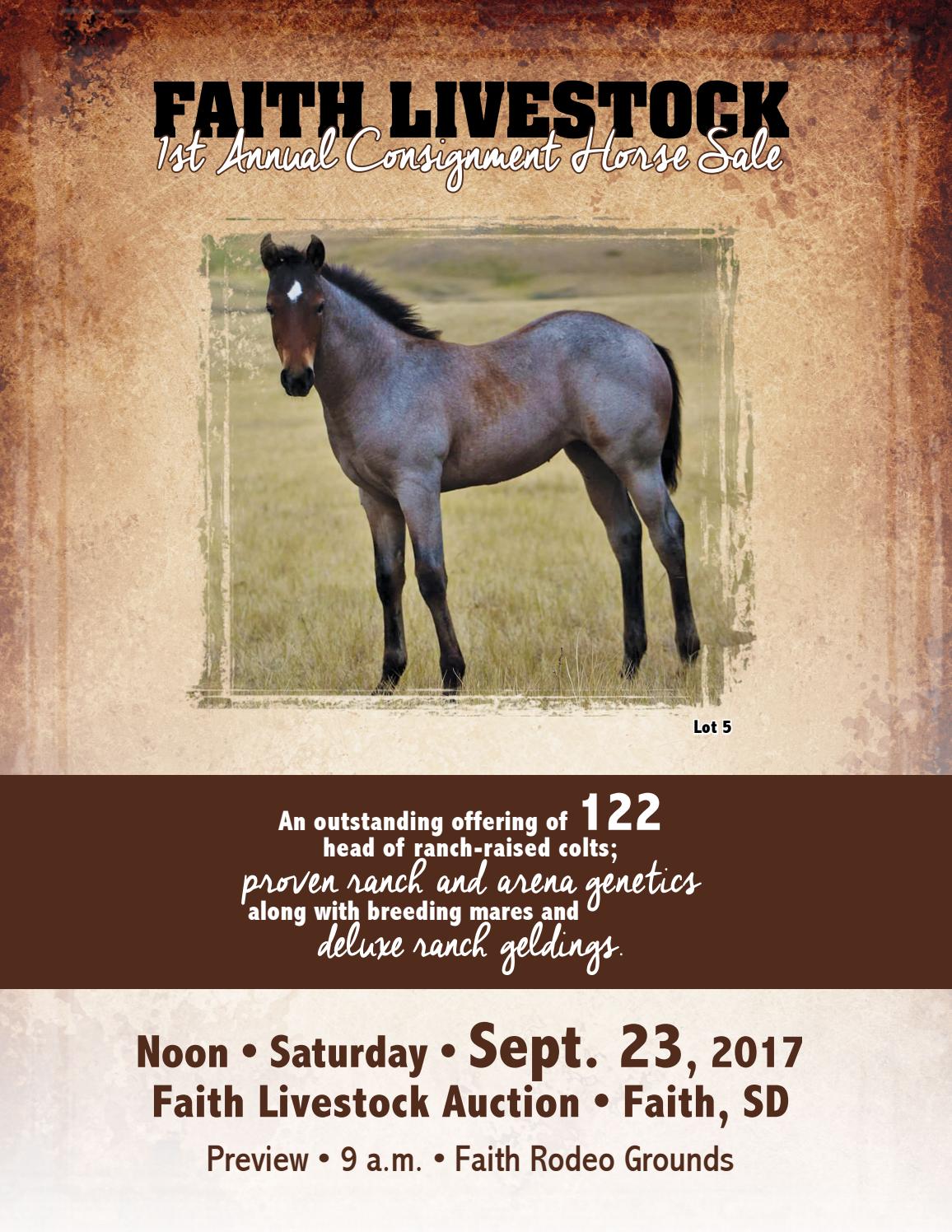Faith Livestock 2017 Consignment Horse Sale by Moxie Marketing of the